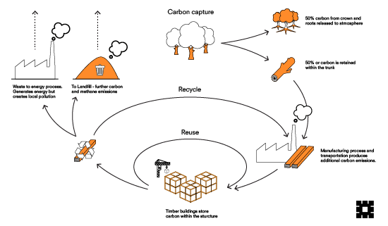 Sustainability lifecycle of engineered timber, illustrating carbon capture, recycling, and reusing timber for construction, with emphasis on biogenic carbon storage and waste reduction.